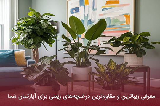 معرفی زیباترین و مقاوم‌ترین درختچه‌های زینتی برای آپارتمان شما
