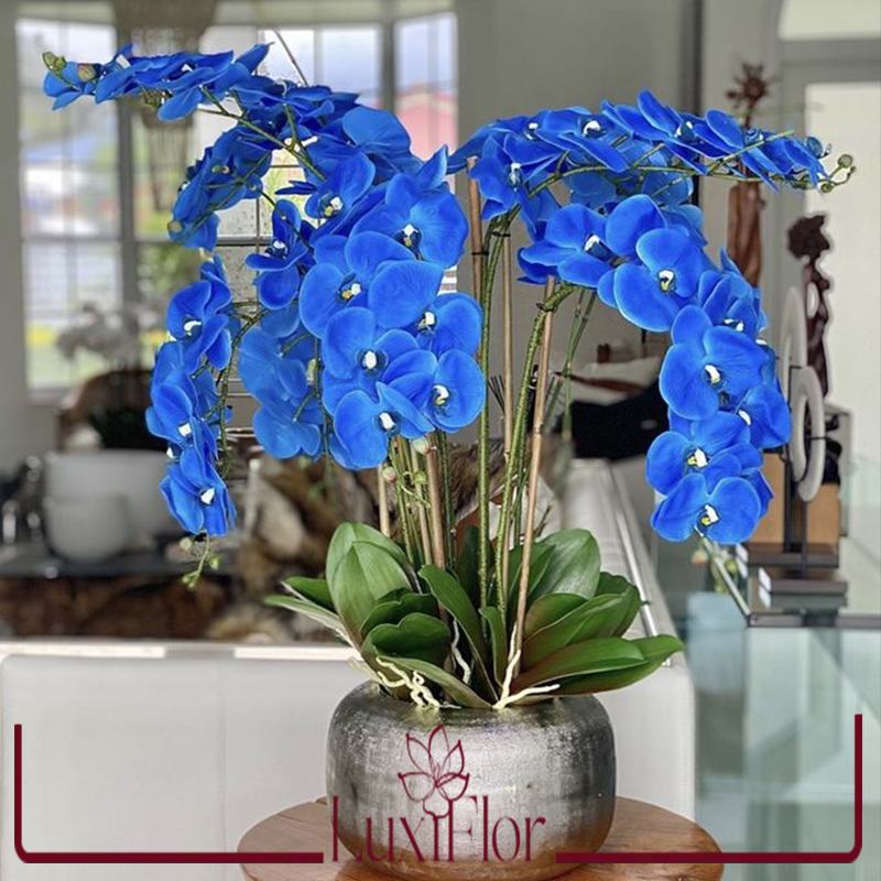 باکس گل ارکیده آبی کد 3004