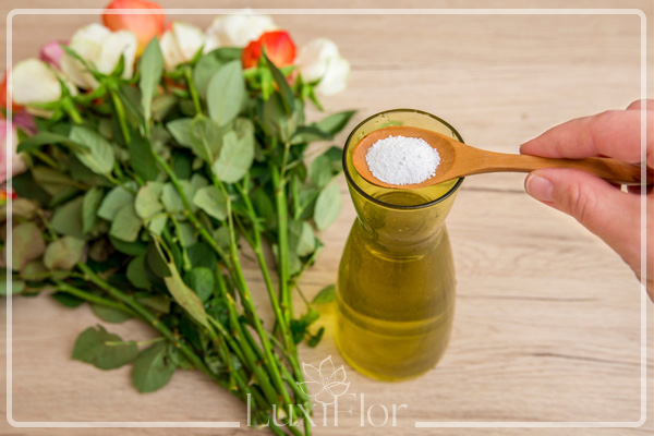 افزودنی های خانگی برای افزایش عمر دسته گل