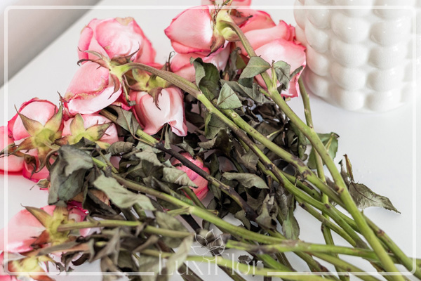 احیای گل های پژمرده